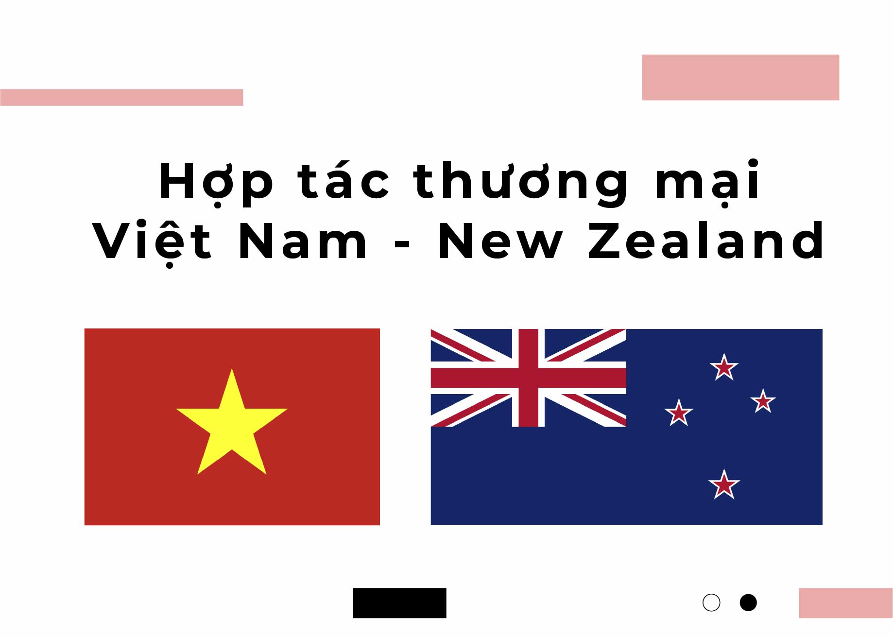Hợp tác thương mại Việt Nam - New Zealand