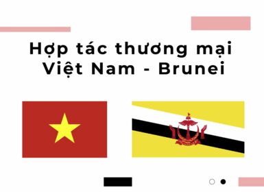 Hợp tác thương mại Việt Nam - Brunei