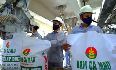 Một số sản phẩm của Nhà máy Đạm Phú Mỹ và Nhà máy Đạm Cà Mau