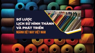Sơ lược lịch sử hình thành và phát triển ngành dệt may Việt Nam