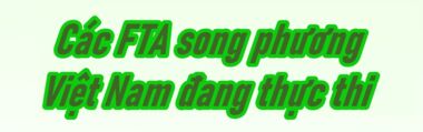 Các hiệp định thương mại tự do (FTA) song phương mà Việt Nam đang thực thi