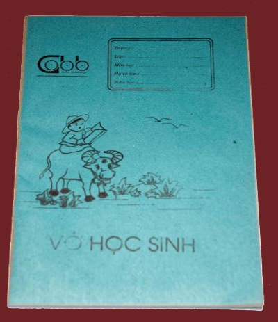 vo chu be