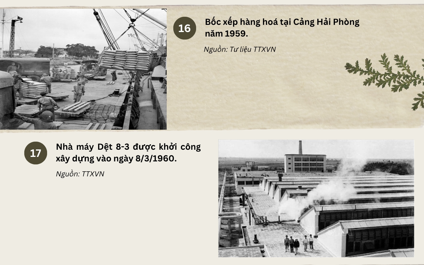 giai đoạn 75-10